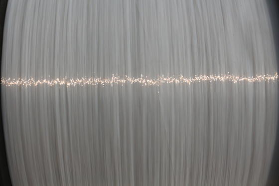 0.2mm Industrial Polyester Yarn