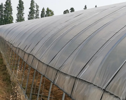 PET Agriculture Polyester Wire