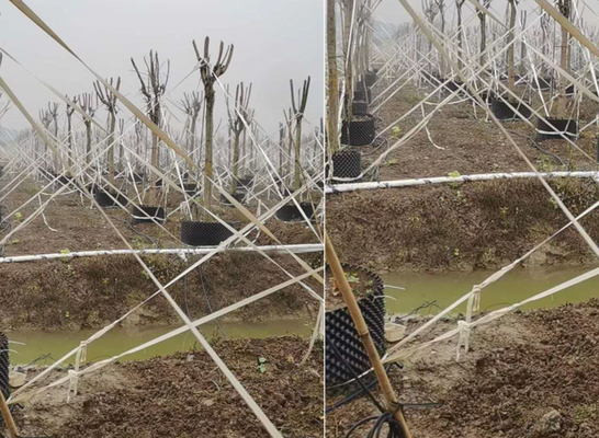 Stable High Tenacity Agriculture Polyester Wire Anti Corrosive