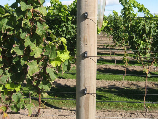 Crop Support Greenhouse Polyester Wire Irrigation Lines Bird Netting Installing